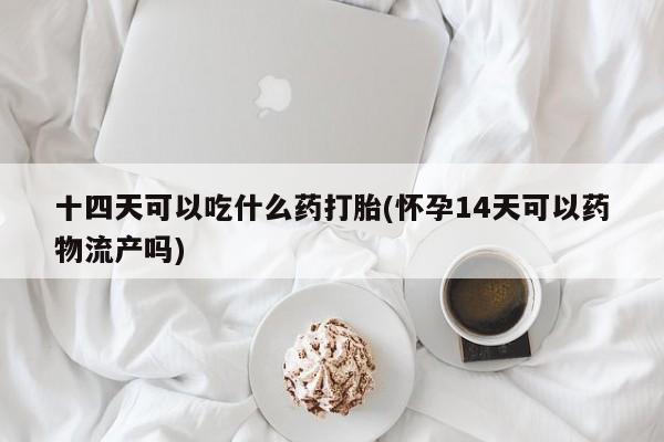 米非司酮片微信下单联系方式十四天可以吃什么药打胎(怀孕14天可以药物流产吗)